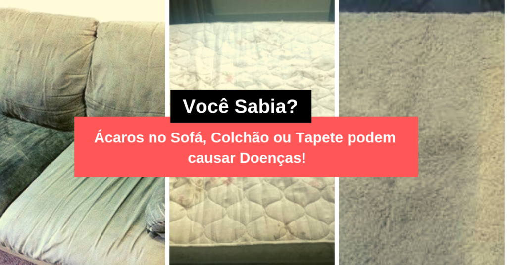 Ácaros no Sofá, Colchão ou Tapete podem Causar Doenças Respiratórias